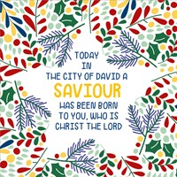 Saviour/Star 10pk