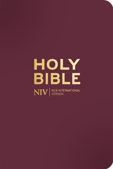 NIV Pocket Bible Mulberry, Imitation Leather, with Gold Zip